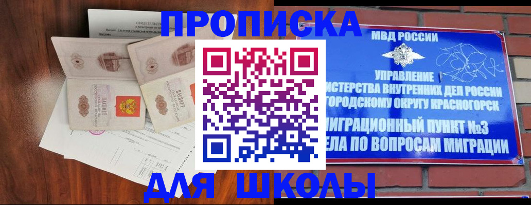 прописка поиск в Черноголовке